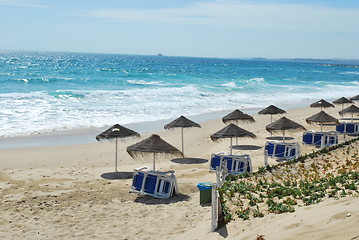 Image showing Beach scene with coconuts area