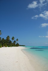 Image showing Beach paradise with palm trees