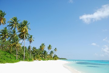 Image showing Beach paradise with palm trees