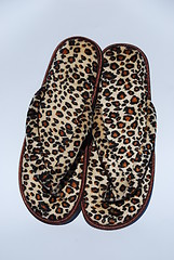 Image showing Tigress flip-flops