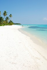 Image showing Beach paradise with palm trees