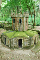 Image showing Mossy house for ducks in the forrest