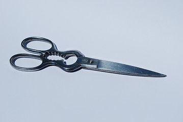 Image showing Stainless steel scissor