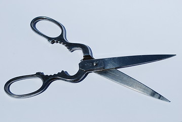 Image showing Stainless steel scissor