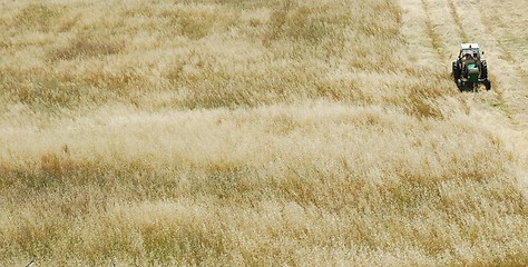 Image showing Tractor harvesting wheat field