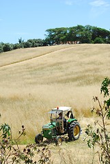 Image showing Tractor harvesting wheat field