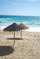 Image showing Beach scene with coconuts area