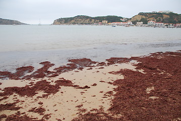 Image showing Sao Martinho do Porto beach in Portugal