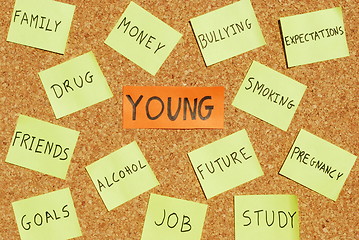 Image showing Young concerns on a cork board