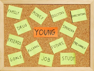 Image showing Young concerns on a cork board