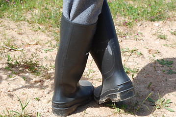 Image showing Boots for agriculture work