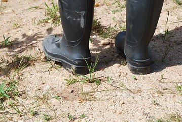 Image showing Boots for agriculture work