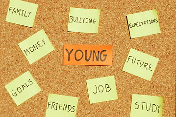 Image showing Young concerns on a cork board