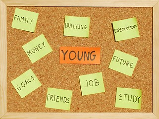 Image showing Young concerns on a cork board