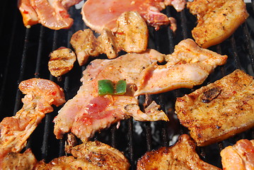 Image showing Tasty meal with fresh meat on grill