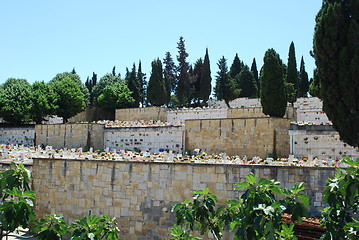 Image showing Graveyard or cemetery (close up)