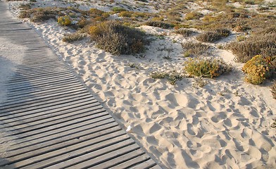 Image showing Wooden walkway to beach