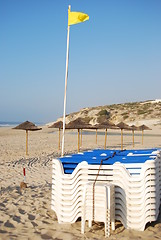 Image showing Beach chairs and coconuts area