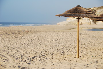 Image showing Beach scene with coconuts area