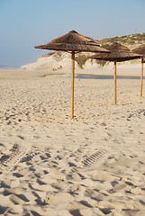 Image showing Beach scene with coconuts area