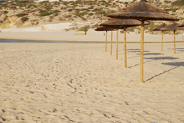 Image showing Beach scene with coconuts area