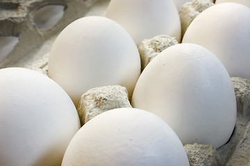 Image showing Eggs in cardboard packing