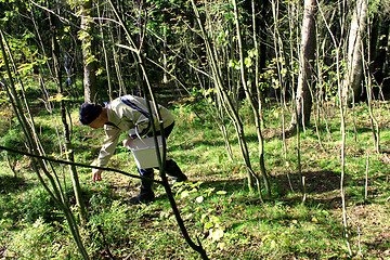 Image showing mushroom picker