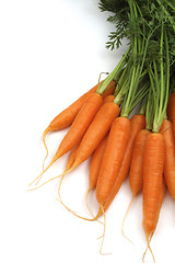 Image showing Carrots