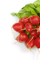 Image showing Radish