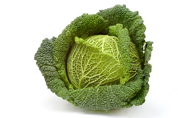 Image showing Cabbage