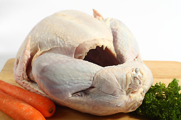 Image showing Raw turkey on a board