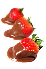 Image showing A row of chocolate dipped strawberries