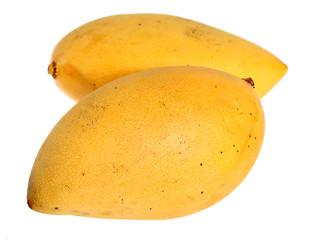 Image showing Thai mangoes over white