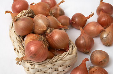 Image showing Onion in the basket