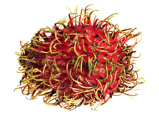 Image showing Rambutan macro
