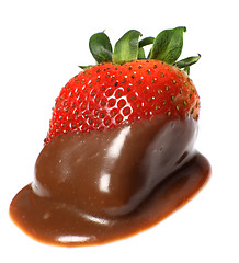 Image showing Chocolate coated strawberry