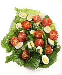 Image showing Quail egg salad