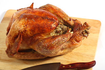 Image showing Roast turkey high angle view