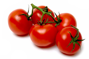 Image showing Tomatoes