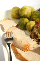 Image showing Turkey dinner vertical