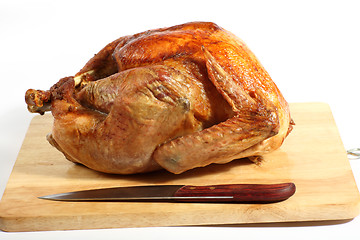 Image showing Roast turkey side view