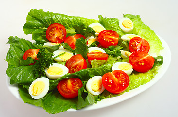 Image showing Gourmet quails egg and tomato salad