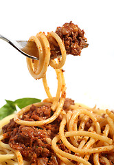 Image showing Spaghetti bolognese on a fork