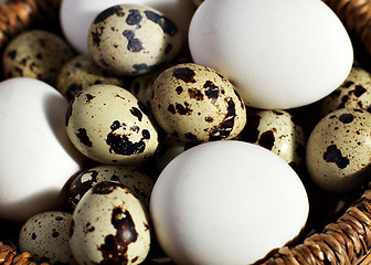 Image showing Eggs in a basket