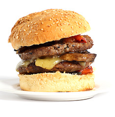 Image showing Mushroom burger with tomato and cheese