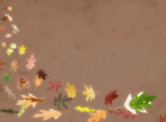 Image showing autumn leafs