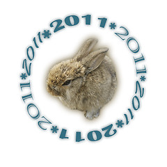 Image showing rabbit 2011