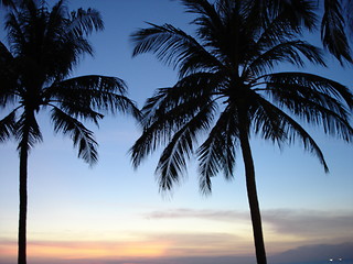 Image showing Palm Trees At Sunset In Thailand