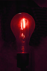 Image showing Red Bulb