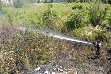 Image showing Fireman fighting a heath fire in Gdansk, Poland